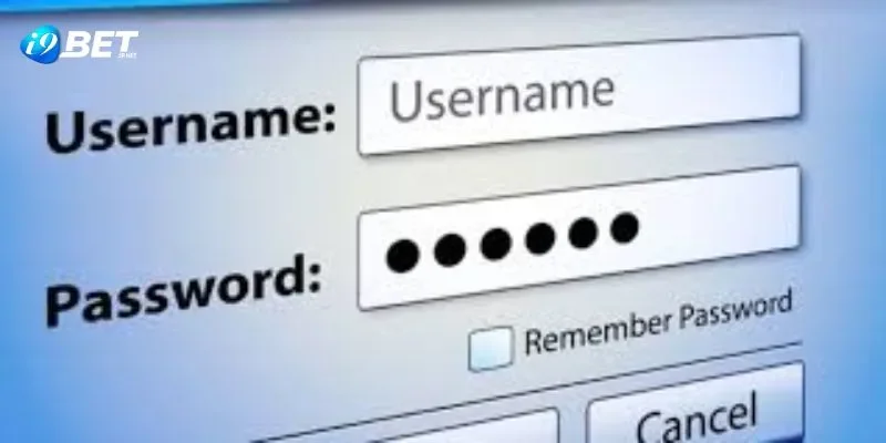 Quyền lợi khi truy cập trải nghiệm danh mục